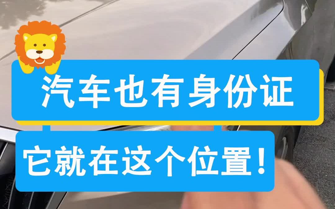 汽车的车架号,竟然有这么多秘密!哔哩哔哩bilibili