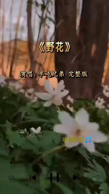 [图]完整版  我是一只啊随风 飘摇的野花 我是眷恋着天迹 狂沙的野花 不恋世间的繁华 哪怕笑我是傻瓜