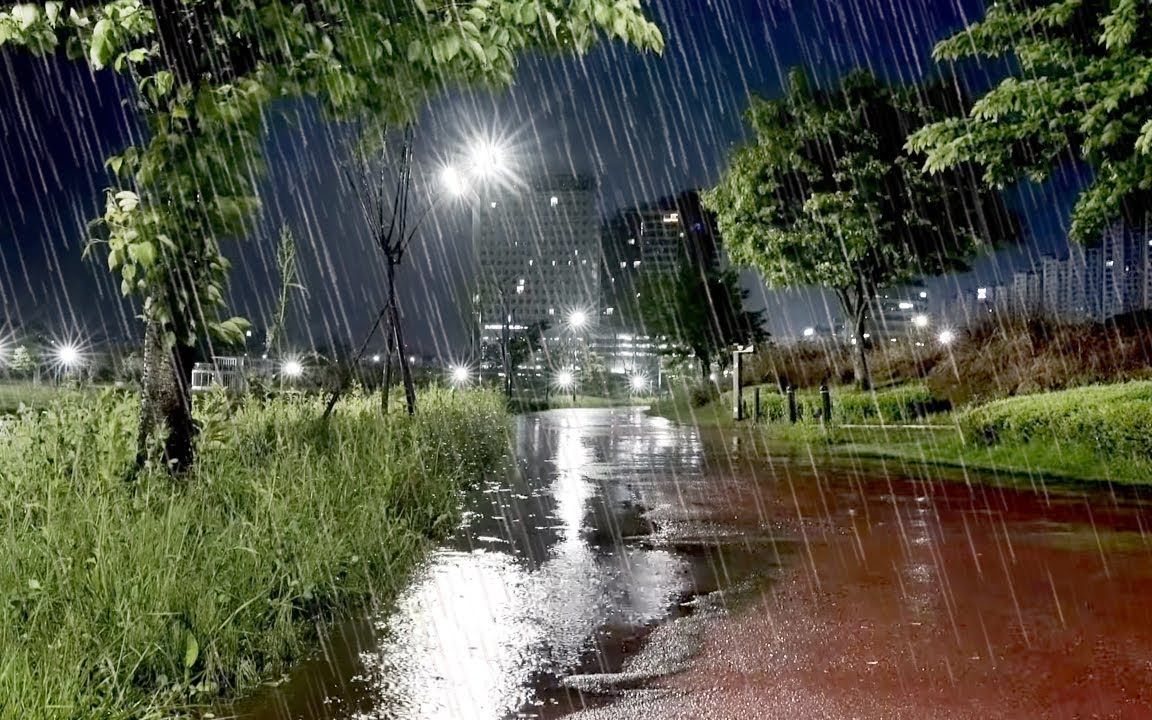 [图]雨夜散步，快速睡眠，8小时凉爽的雨声，白噪音完美放松