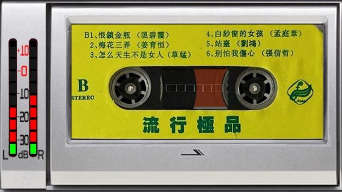 磁带 流行极品 温碧霞 孟庭苇 张信哲 87狂热 姜育恒 影视歌曲