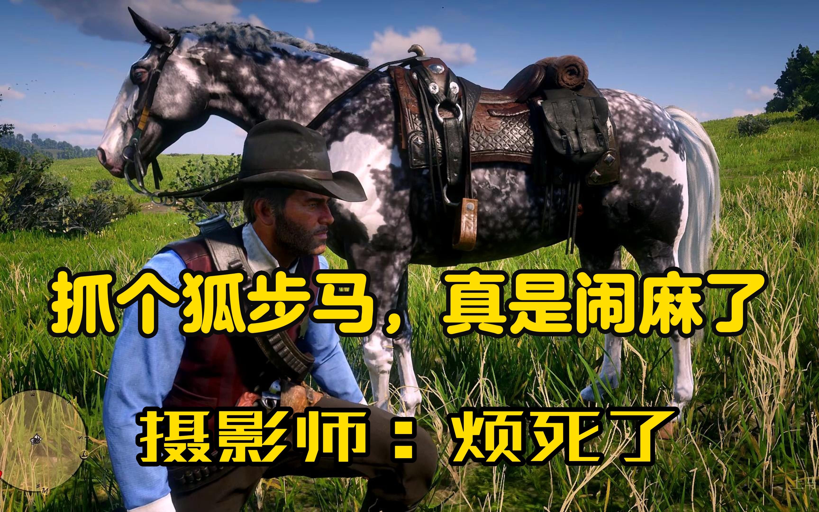 【荒野大镖客2】去找摄影师抓银斑狐步马,摄影师恨不得给亚瑟两拳