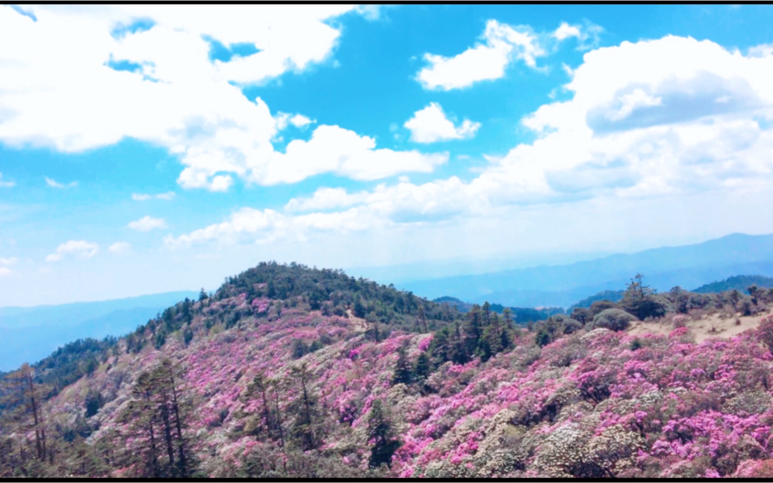 [图]和百草岭的约会～