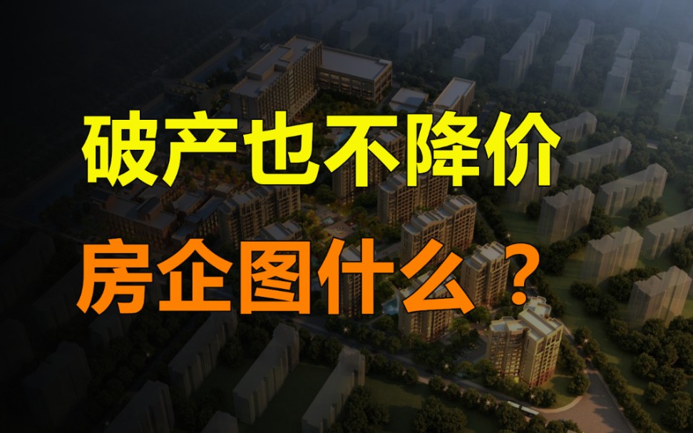 为什么房地产企业,宁愿破产也不愿意降价?哔哩哔哩bilibili