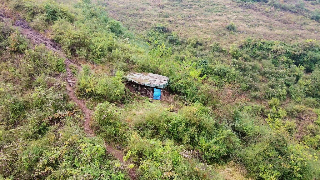 荒山野岭的,这里好像有户人家,好像又不是一户人家