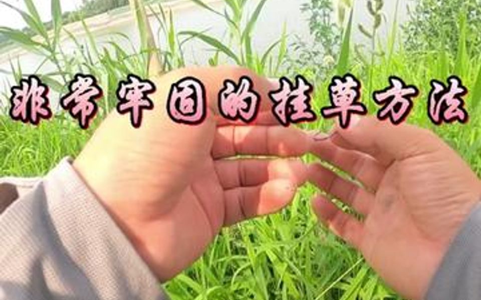 [图]夏季浮钓，一种非常牢固的挂草方法。