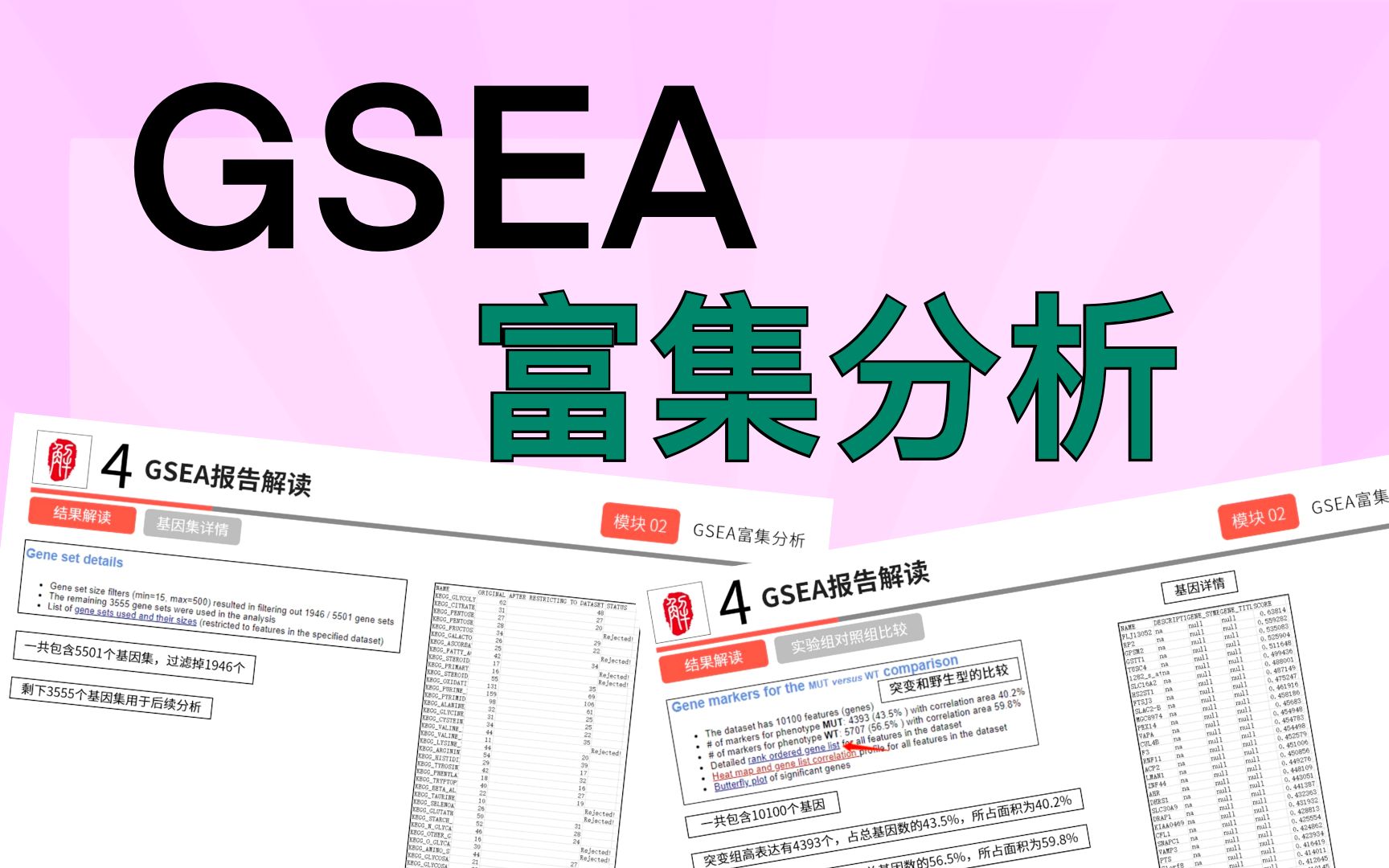 【生物信息】GSEA富集分析|零基础手把手,为你解读 GSEA富集分析报告,生信不难!哔哩哔哩bilibili