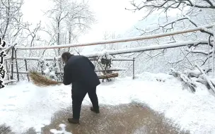 Скачать видео: 开门即是满山白雪，看看这大山深处的冬日清晨，感受静谧与美好