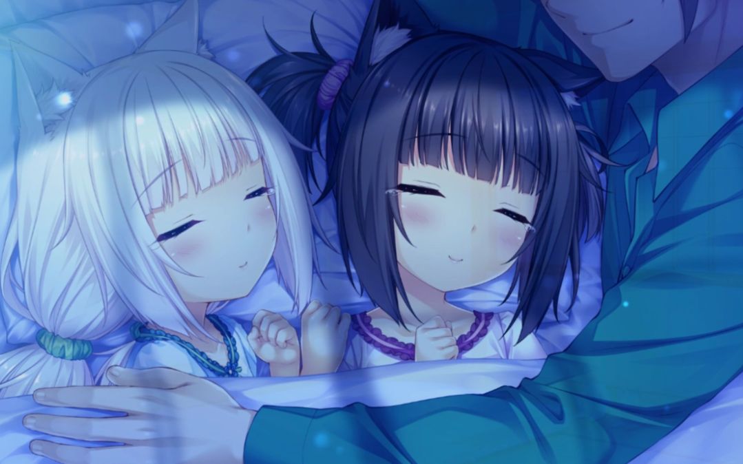 我的巧克力与香草竟然失禁了1