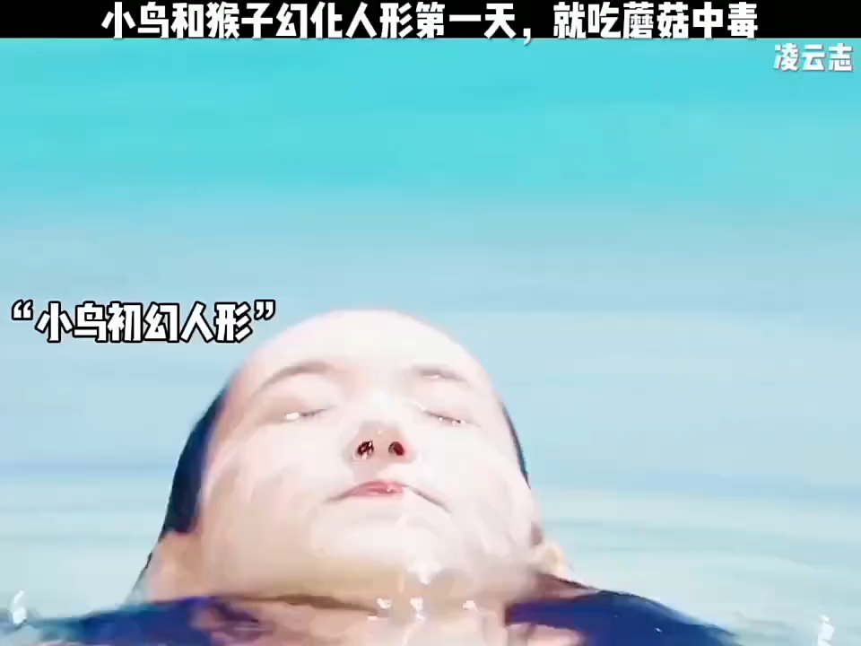 凌云志哔哩哔哩bilibili