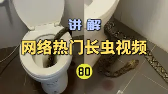 Download Video: 网络热门长虫视频(80)男子上厕所时被大蛇咬伤下体？引全网疯传！网友纷纷说是自己被咬了？