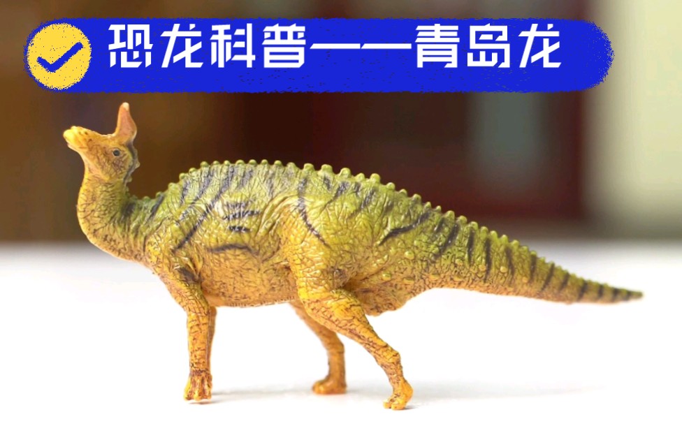 恐龙科普——青岛龙