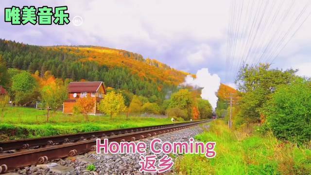 rural homecoming图片