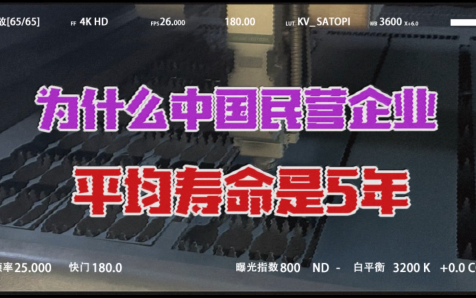 为什么中国民营企业,平均寿命是5年哔哩哔哩bilibili