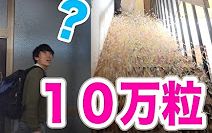 【水溜】太厉害了!回家用10万粒生物球泡澡!哔哩哔哩bilibili