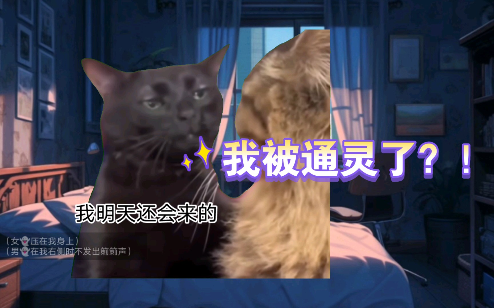 [猫meme]重生之我在凡间当神婆:开启新世界开门①哔哩哔哩bilibili