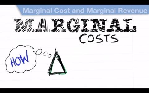 [微观经济学]30.边际成本和边际收益哔哩哔哩bilibili