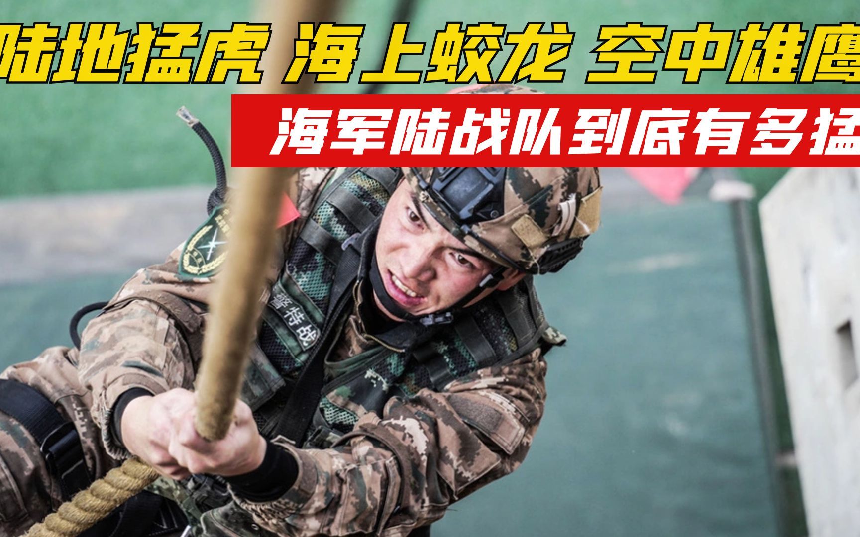 [图]海军中的最强兵种，海军陆战队到底有多厉害？