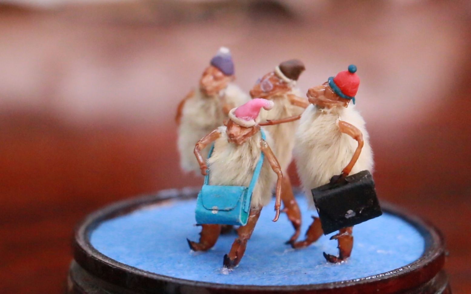 老北京毛猴纪录片作业