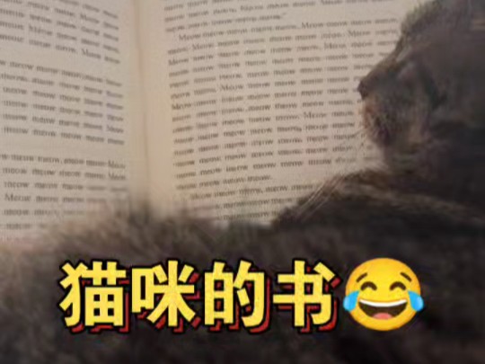 猫咪的书哔哩哔哩bilibili