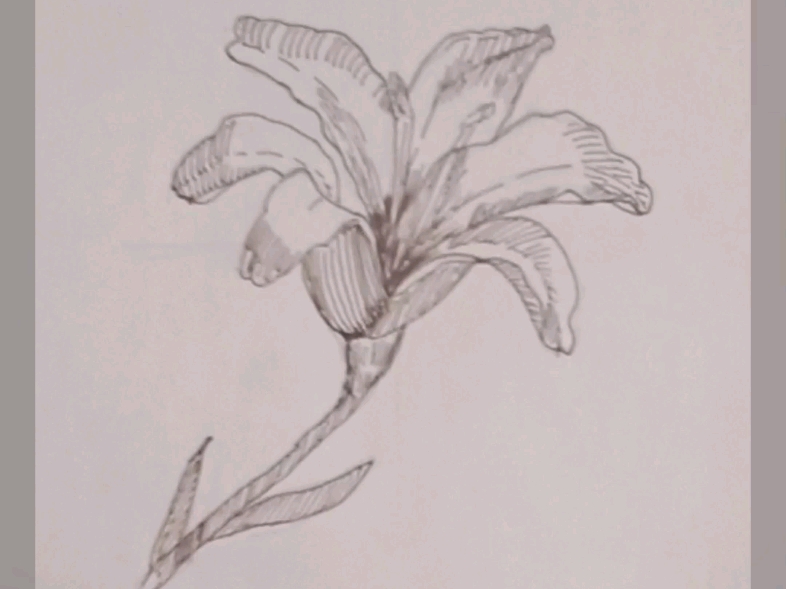 【艺术美的发现】新作上线,快来看看!