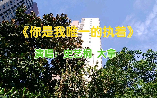 [图]一曲《你是我唯一的执着》真好听! 史艺桐、大拿深情演唱，真挚动情感人~