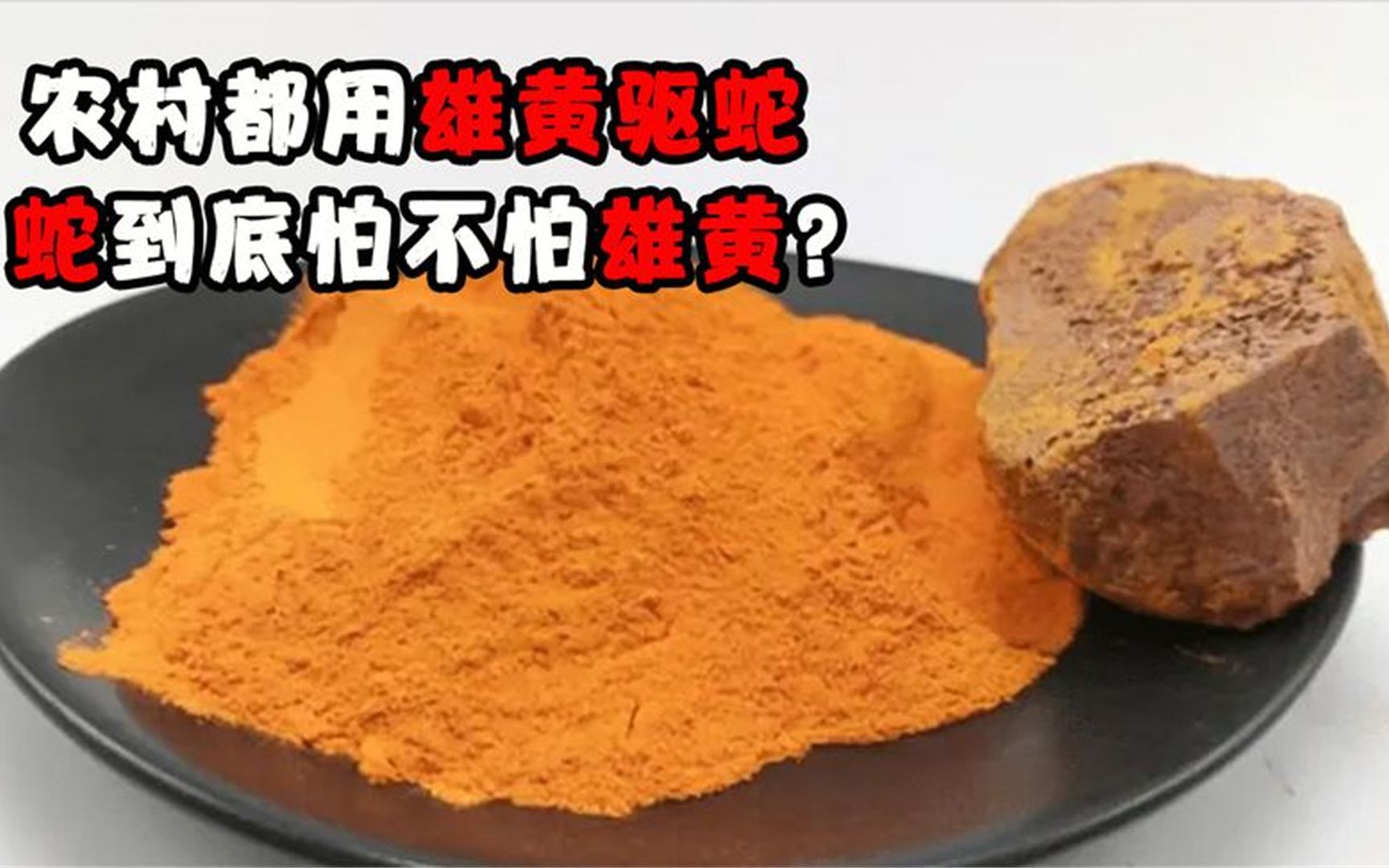 农村用雄黄驱蛇,蛇真的怕雄黄吗?有人做了实验