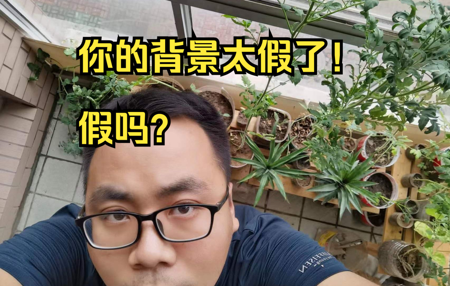 [图]阳台上种菜养花收获经验分享