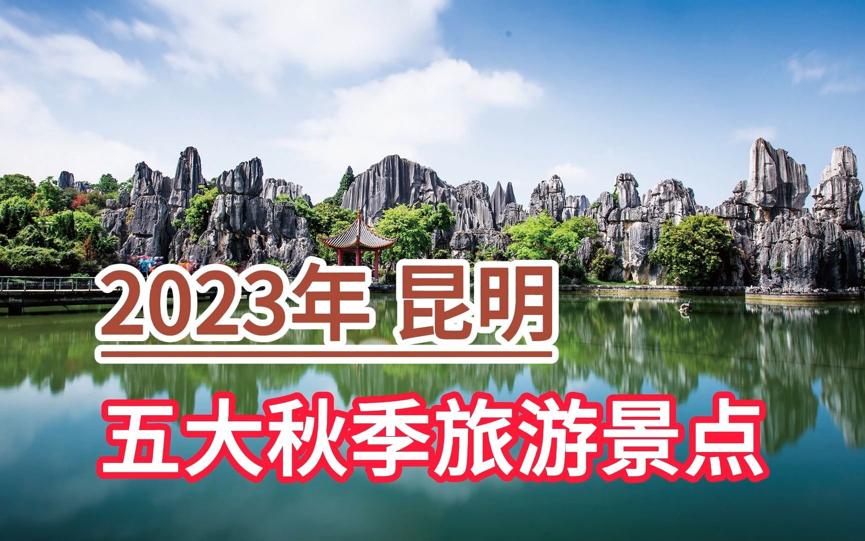 2023年昆明五大秋季旅游景点,云南石林、昆明植物园、九乡风景区哔哩哔哩bilibili