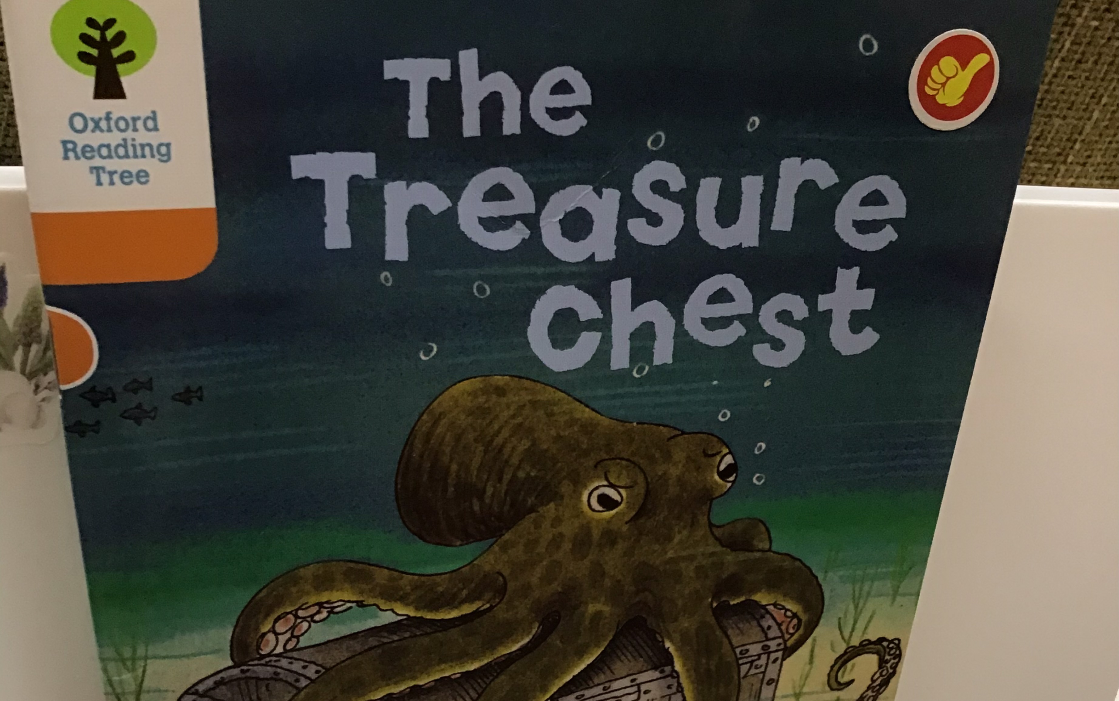 The treasure chest1哔哩哔哩bilibili