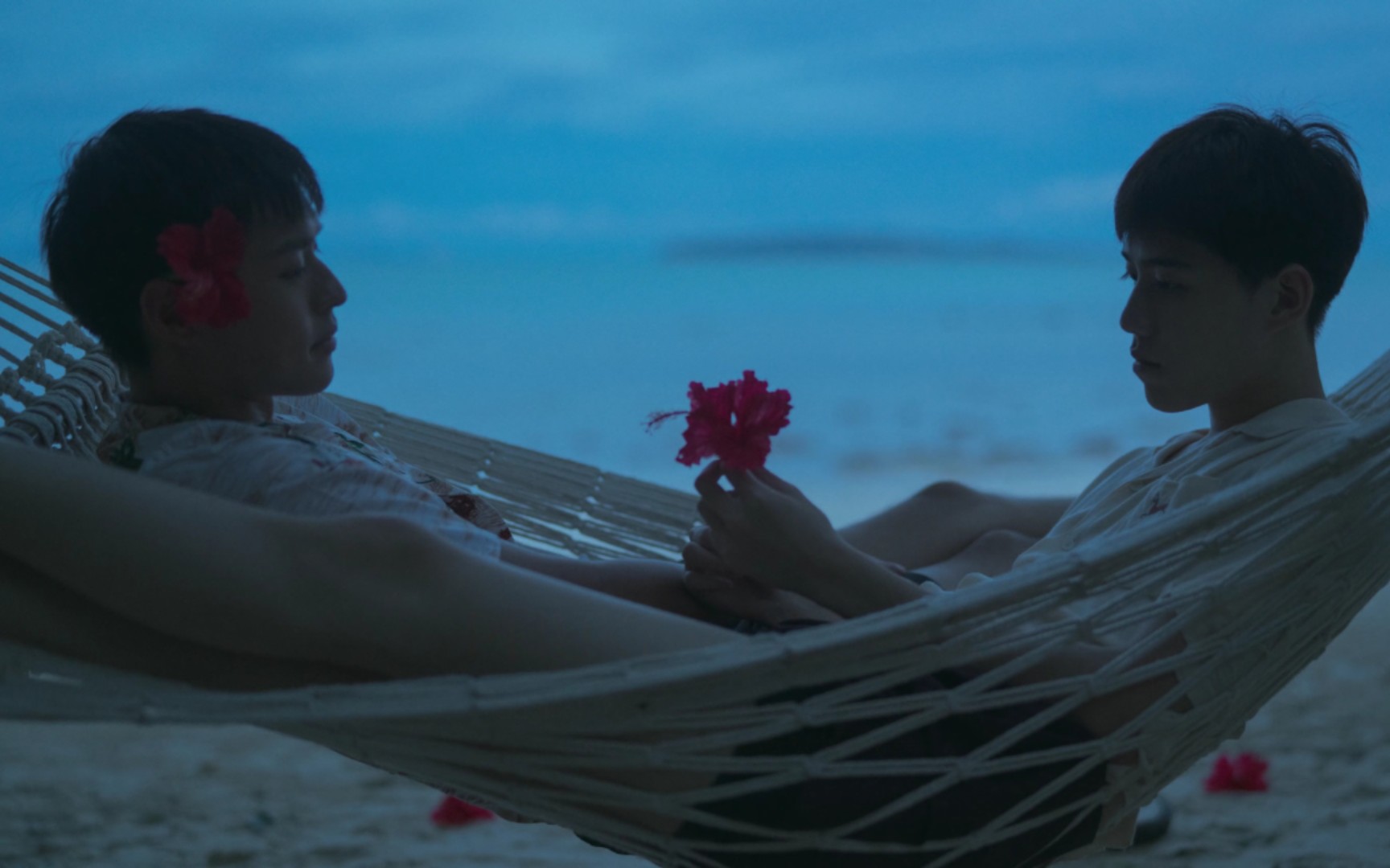 told sunset about you 以你的心诠释我的爱》绝不会忘掉那年的扶桑花
