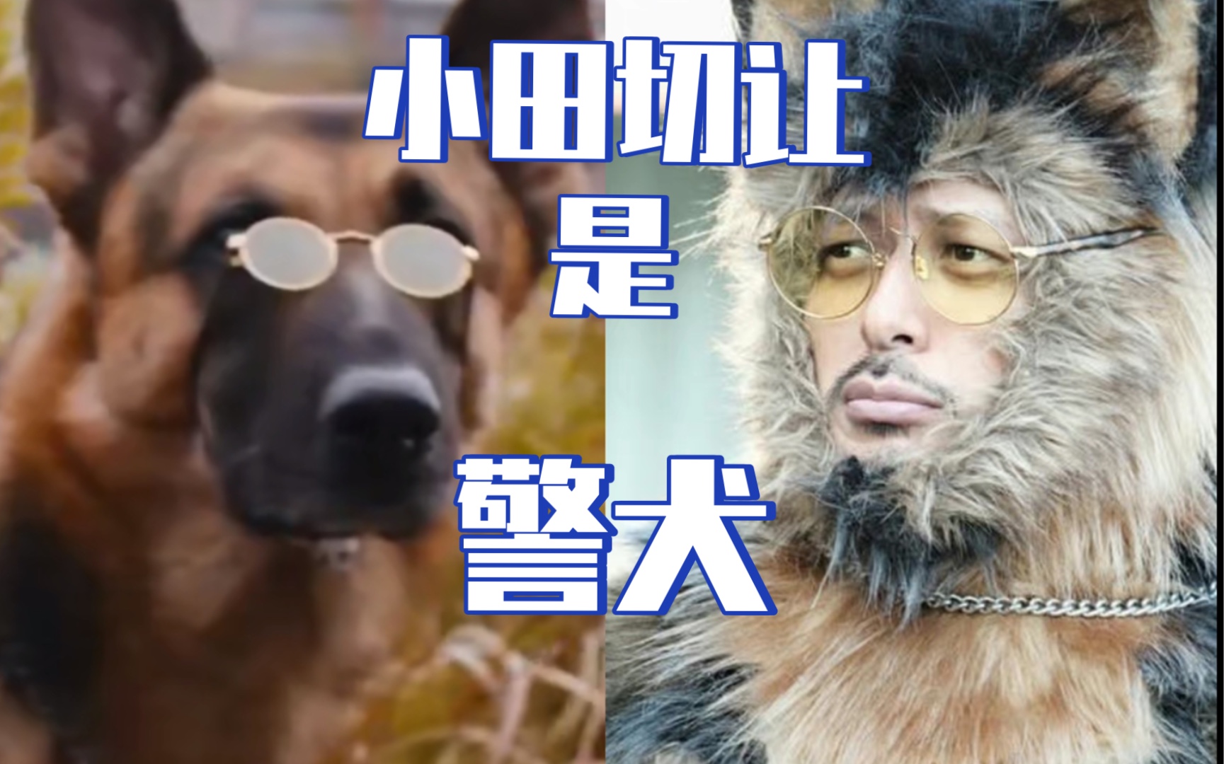 [图]【第3集更新】你们日本没有狗了吗？！小田切让演警犬！？