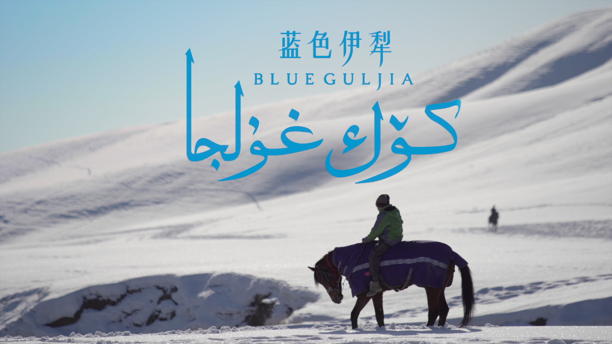 蓝色伊犁第13届先力奖入围