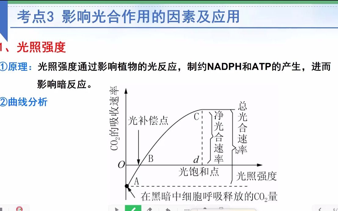 微课:光合作用影响光合作用的因素(光照强度、CO2、温度等)哔哩哔哩bilibili