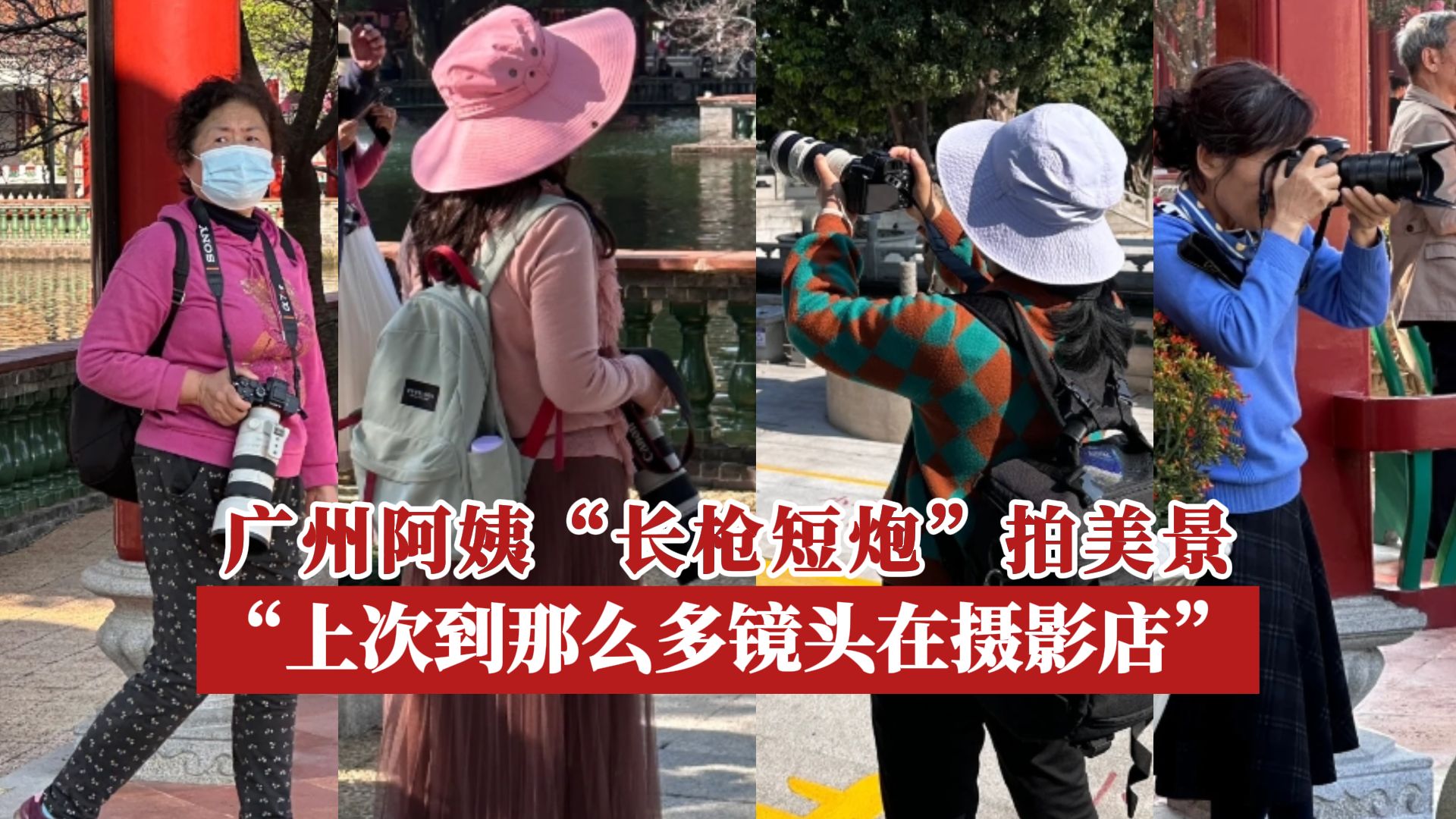 广州阿姨"长枪短炮"拍美景:上次看这么多镜头还是在摄影店!
