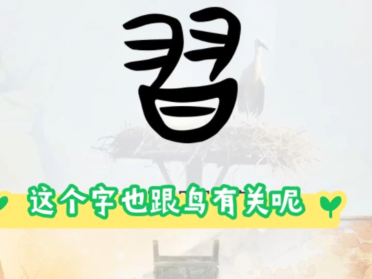 习(习)[x㭝,会意字,甲骨文字形指鸟类在日出之时就开始练习飞翔.哔哩哔哩bilibili