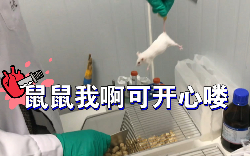 高中生物学的制备抗体,小鼠腹腔注射哔哩哔哩bilibili