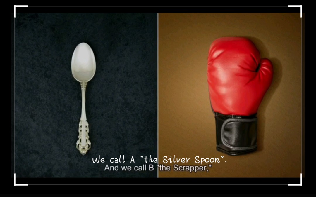 10月打卡计划第八天 TED英语演讲搬运 the Silver Spoon VS the Scrapper银汤匙和拳击手 双语字幕哔哩哔哩bilibili