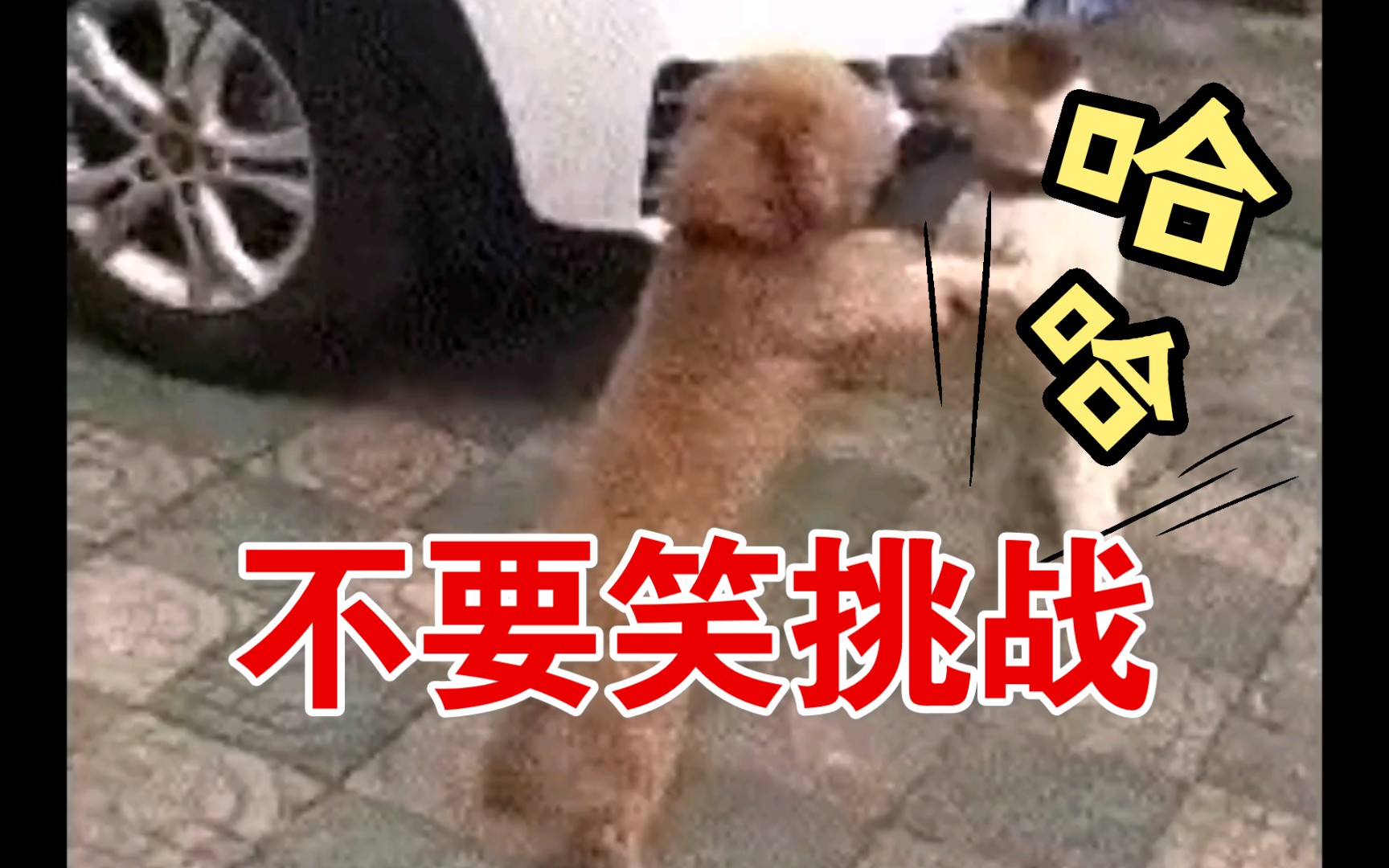 活动作品你瞅谁瞅你咋地