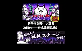 狂乱猫咪 搜索结果 哔哩哔哩 Bilibili