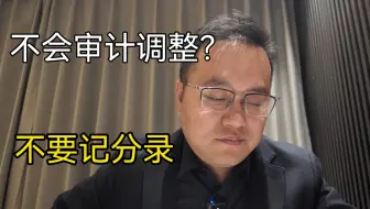 审计调整I还不会？不知道咋滚条，掌握数据的底层逻辑。
