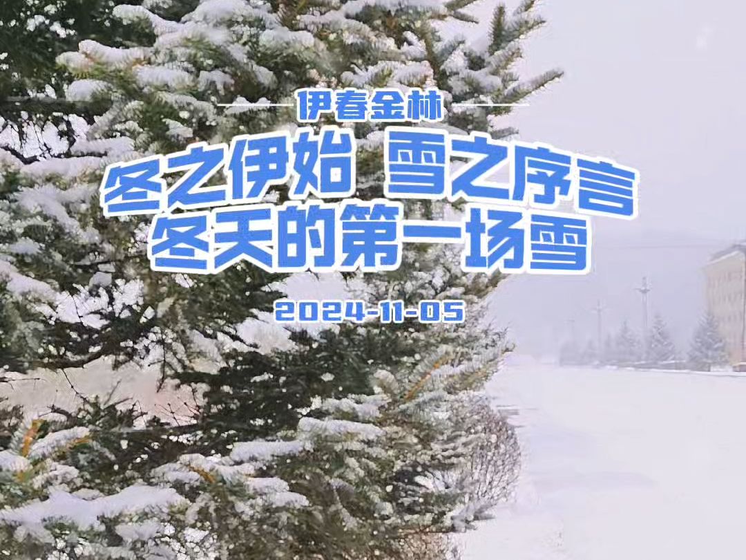 冬之伊始 雪之序言——冬天的第一场雪哔哩哔哩bilibili