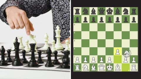 Watch Chess Pro Answers Questions From Twitter, Tech Support