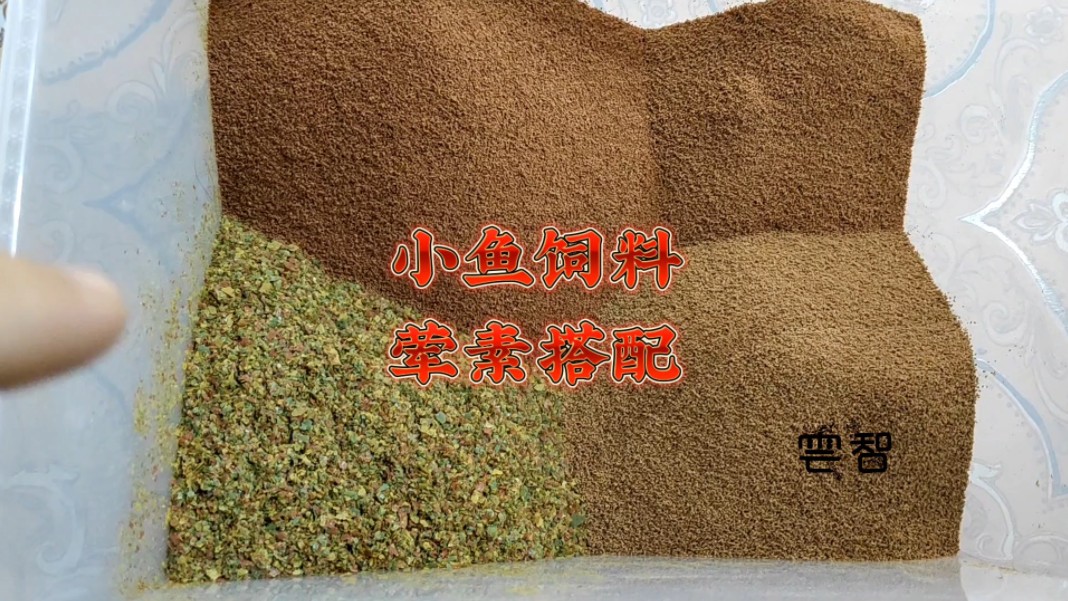 取长补短,荤素搭配,希望鱼吃得好