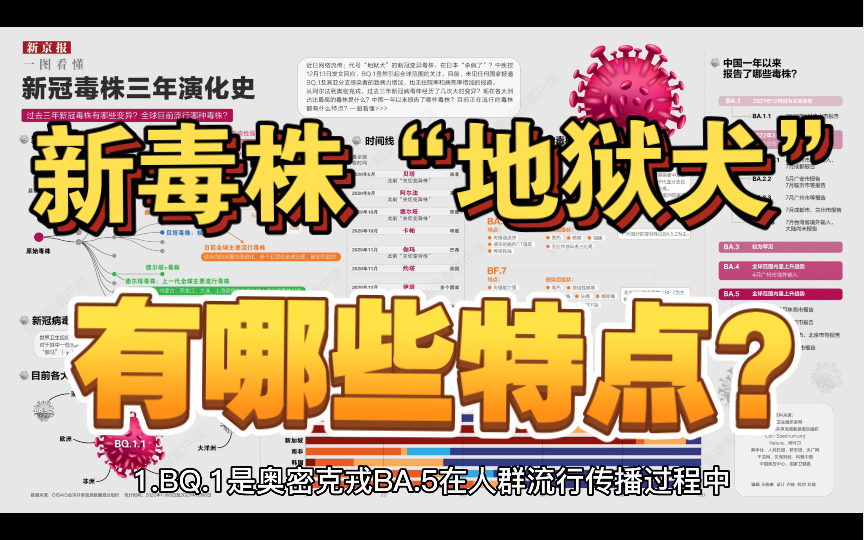 [图]“地狱犬”，新冠病毒变异株BQ.1有哪些特点？