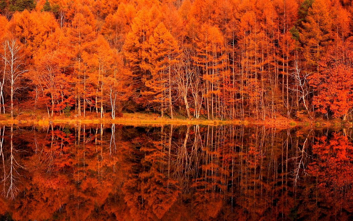 4k mishaka pond of autumn 晩秋 御射鹿池
