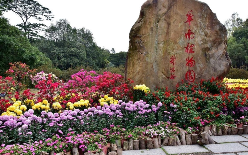 华南植物园必去景点图片