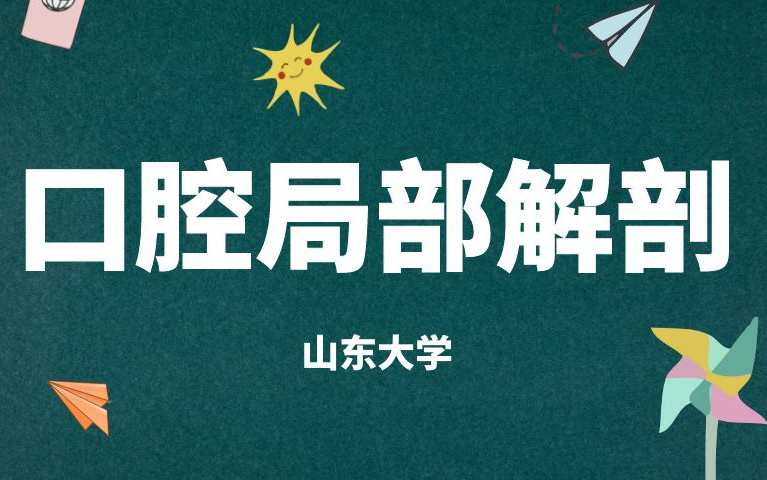 [图]《口腔局部解剖学》系列课程（完整版）