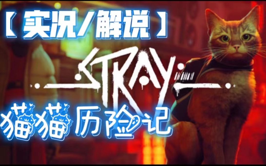 [图]【解说/实况】迷失STRAY 最好玩的喵喵游戏