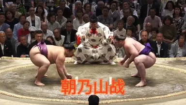 栃ノ心-哔哩哔哩_Bilibili