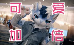 Скачать видео: 【Furry兽展】听说吸毛可以创造奇迹！ -2024兽界 逛展vlog p1